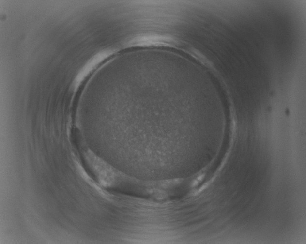 X0000052571277200507011211