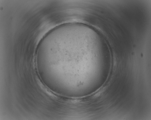 X0000052571278200507011211