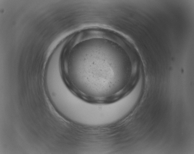 X0000052571279200507011211