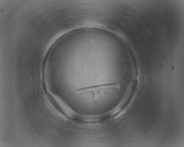 X0000052571280200507011211