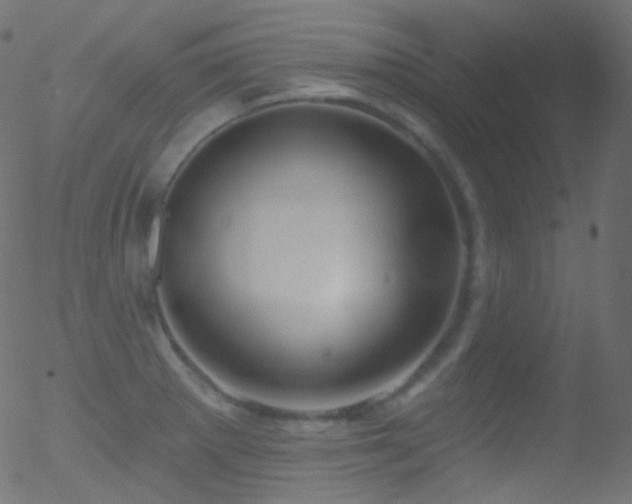 X0000052571281200507011211