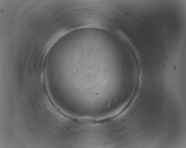 X0000052571284200507011211