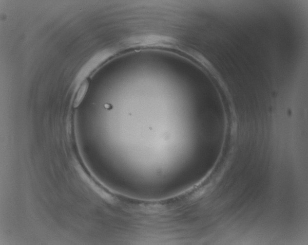 X0000052571285200507011211