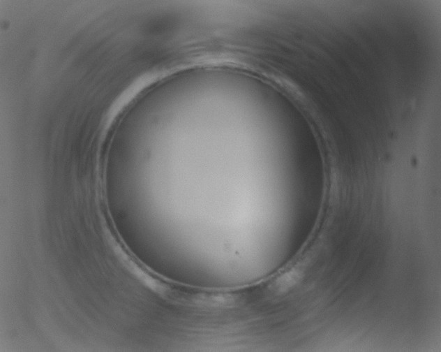 X0000052571286200507011211