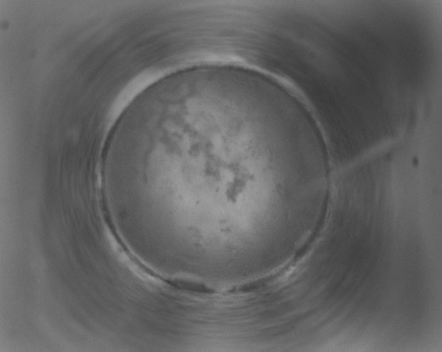 X0000052571287200507011211