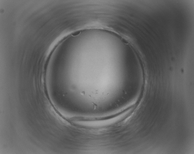 X0000052571288200507011211