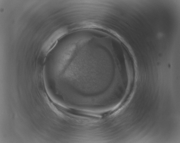 X0000052571289200507011211