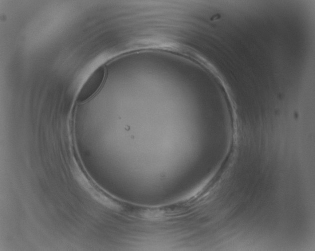 X0000052571291200507011211