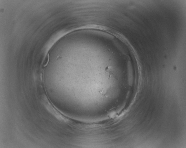 X0000052571292200507011211