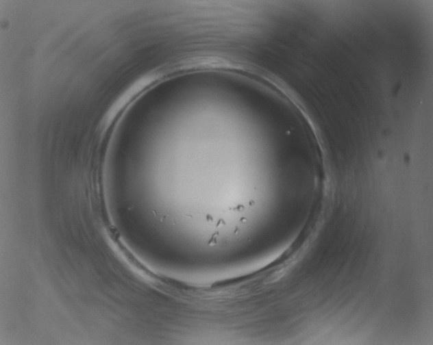 X0000052571293200507011211