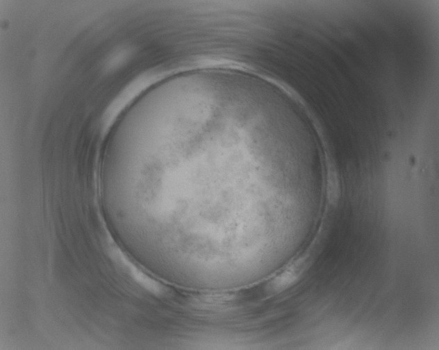 X0000052571294200507011211