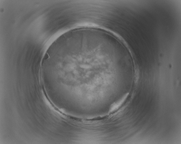 X0000052571295200507011211