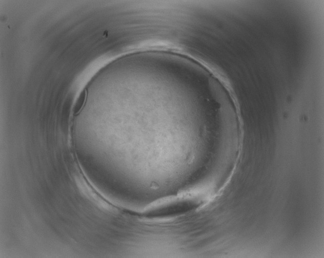 X0000052571296200507011211