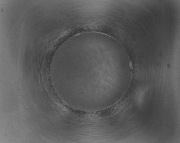 X0000052571297200507011210