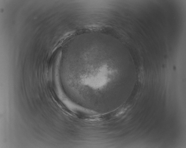 X0000052571298200507011210