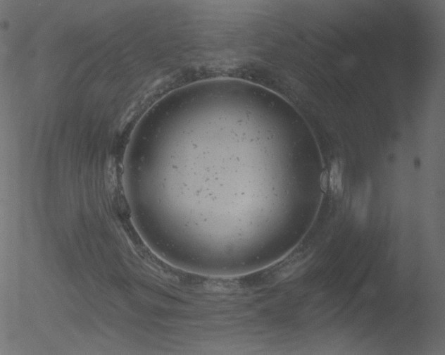 X0000052571299200507011210