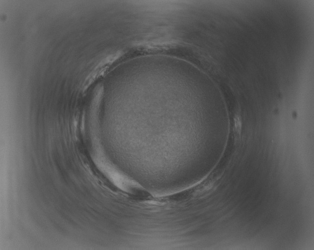 X0000052571300200507011210