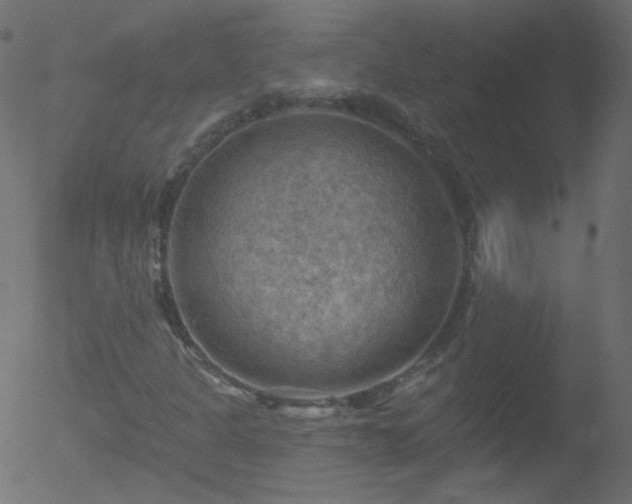 X0000052571301200507011210