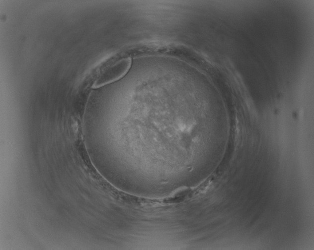 X0000052571302200507011210