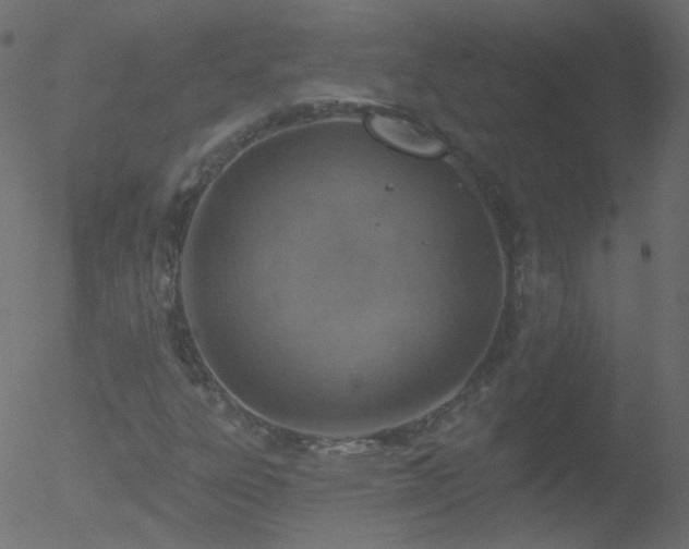 X0000052571303200507011210