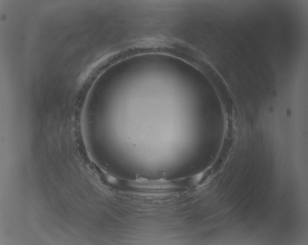 X0000052571304200507011210