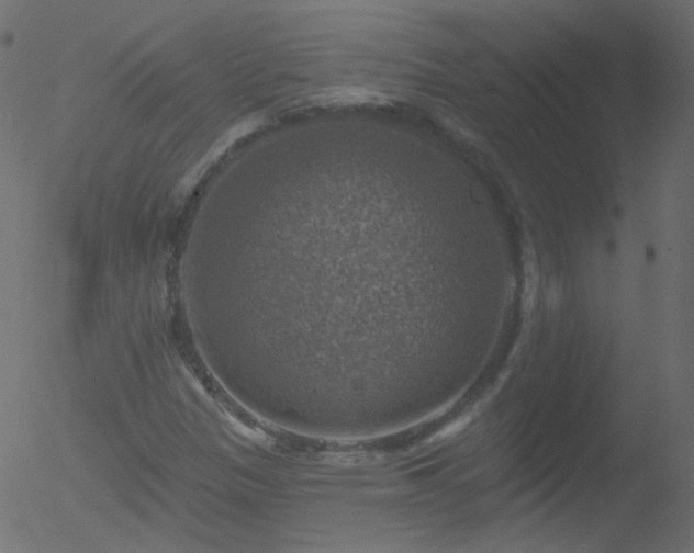 X0000052571305200507011210