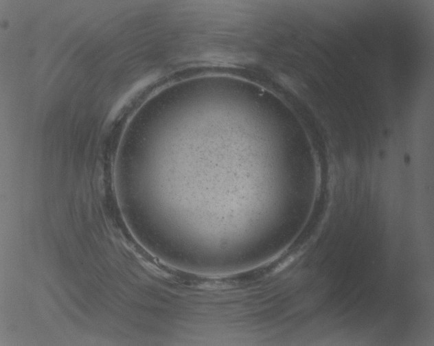 X0000052571307200507011210