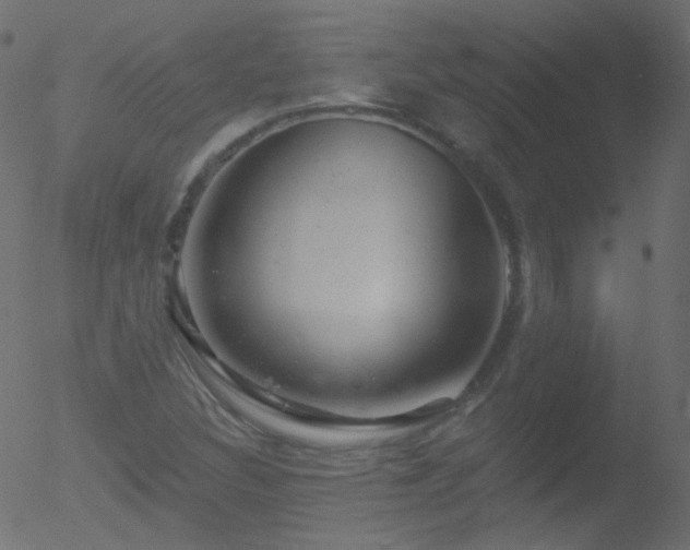 X0000052571308200507011210