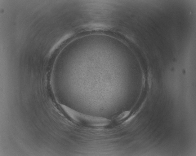 X0000052571309200507011210