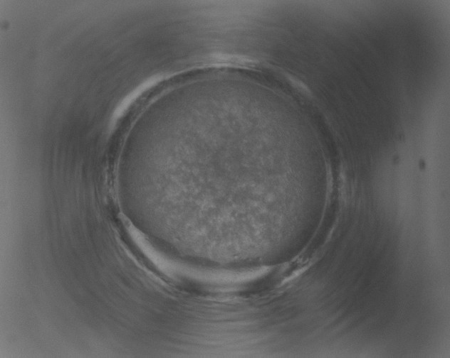 X0000052571310200507011210