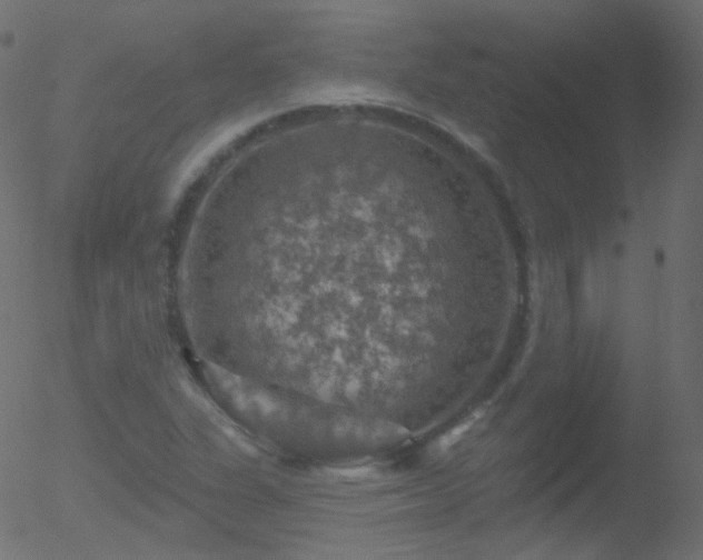 X0000052571311200507011211