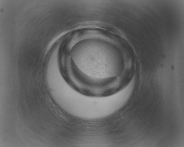 X0000052571312200507011211