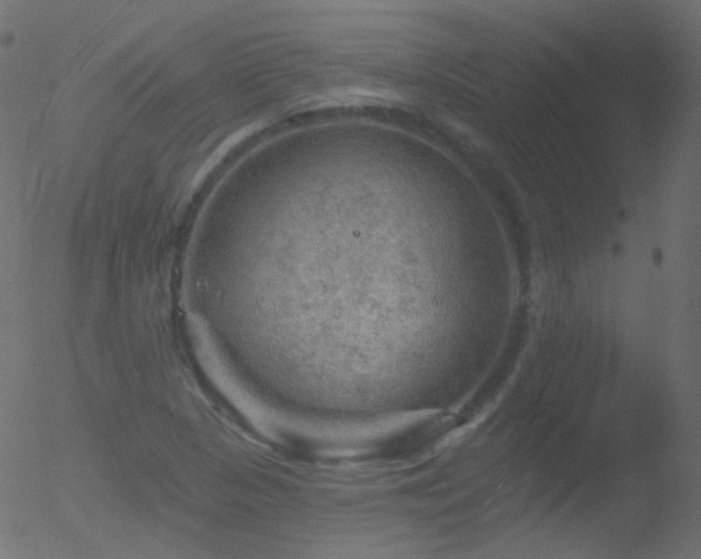 X0000052571313200507011211