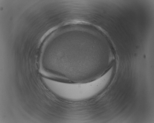 X0000052571314200507011211