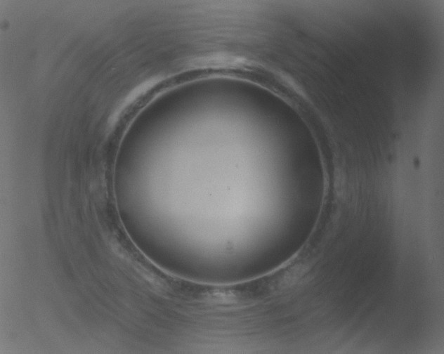 X0000052571315200507011211