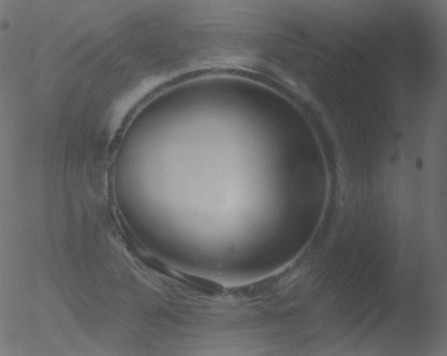 X0000052571316200507011211