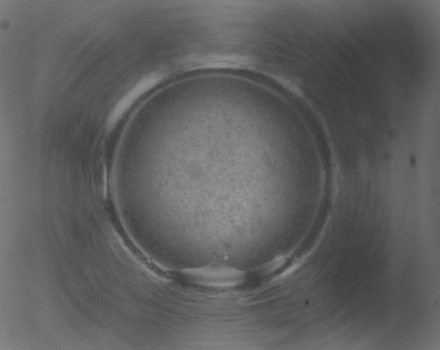 X0000052571317200507011211