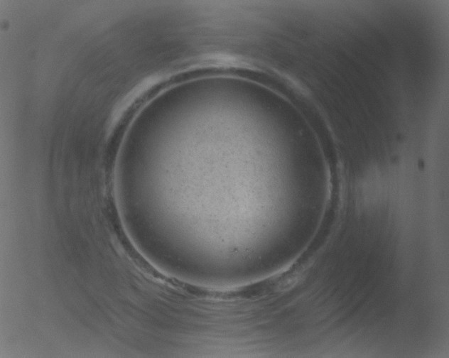 X0000052571318200507011211