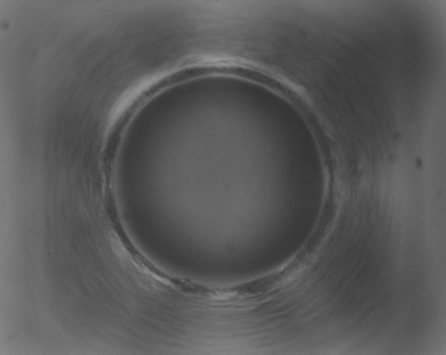 X0000052571319200507011211