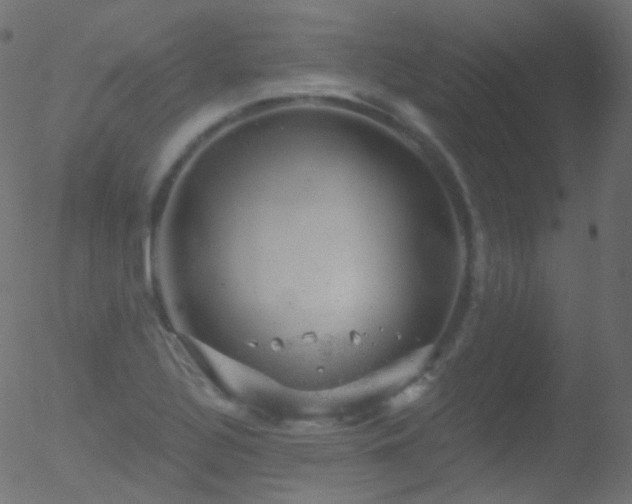 X0000052571320200507011211