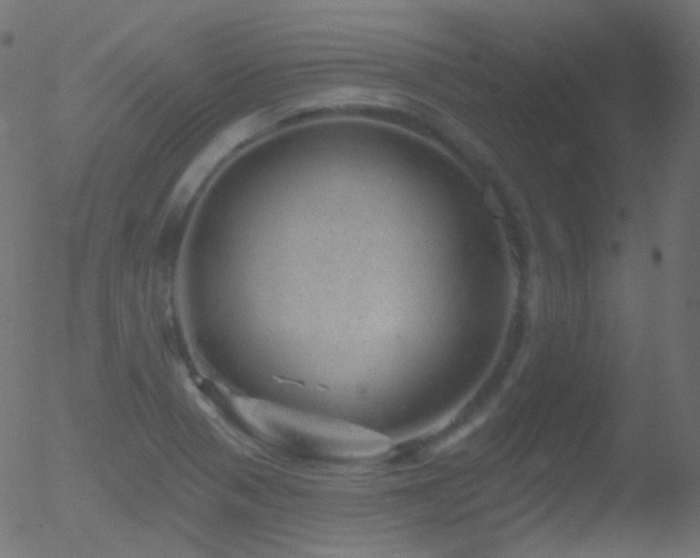 X0000052571321200507011211