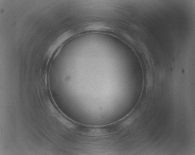 X0000052571322200507011211