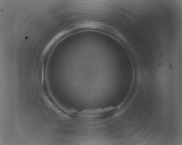 X0000052571323200507011211