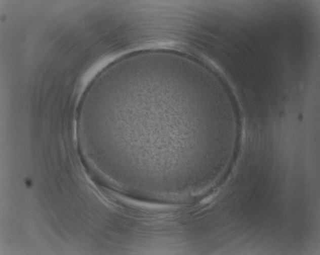 X0000052571324200507011211