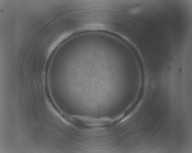 X0000052571325200507011211