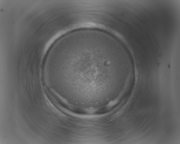 X0000052571326200507011211