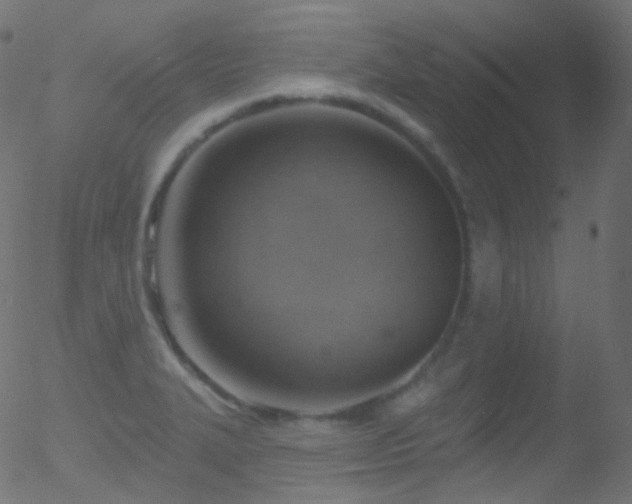 X0000052571327200507011211