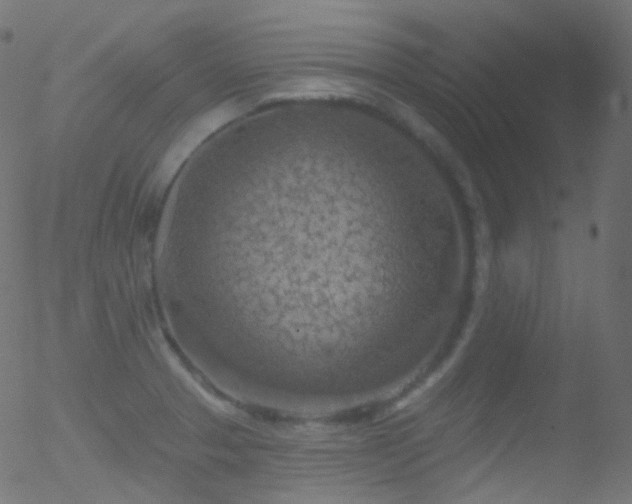 X0000052571329200507011211