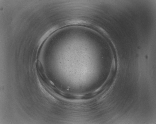 X0000052571330200507011211