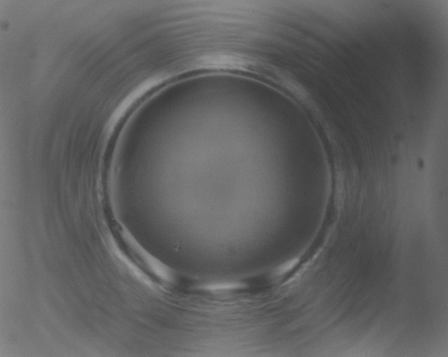 X0000052571331200507011211